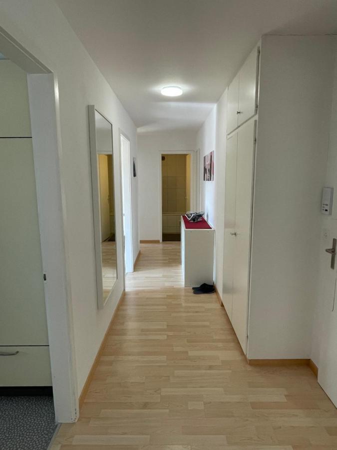 3-Room Apartment For Business Travelers & Families, Free Wifi & Tv With 70 Countries, Dazn, Sky, Netflix & Disney Wynau Exterior foto