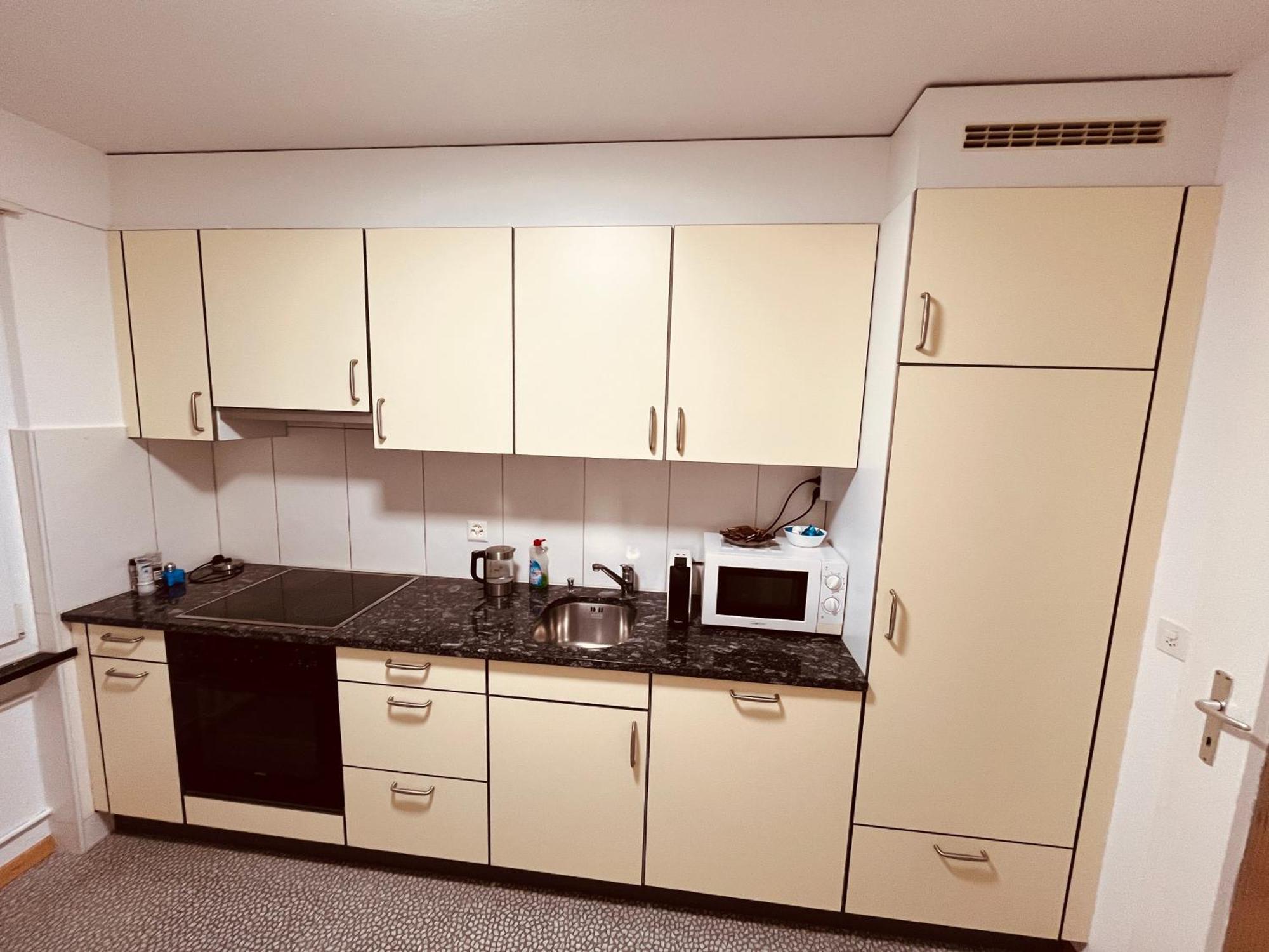 3-Room Apartment For Business Travelers & Families, Free Wifi & Tv With 70 Countries, Dazn, Sky, Netflix & Disney Wynau Exterior foto