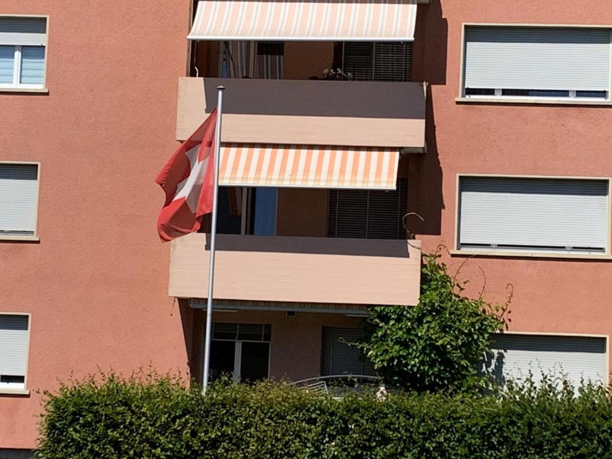 3-Room Apartment For Business Travelers & Families, Free Wifi & Tv With 70 Countries, Dazn, Sky, Netflix & Disney Wynau Exterior foto